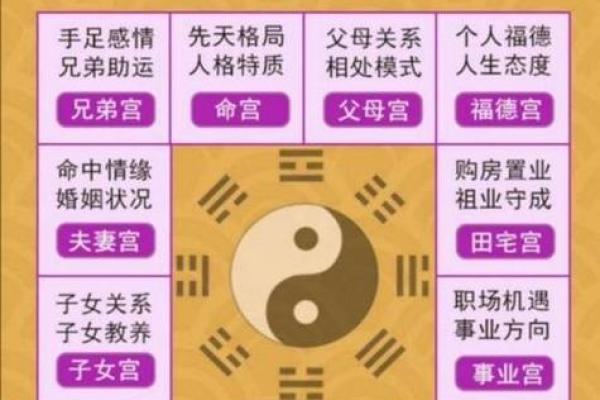 什么是八字重