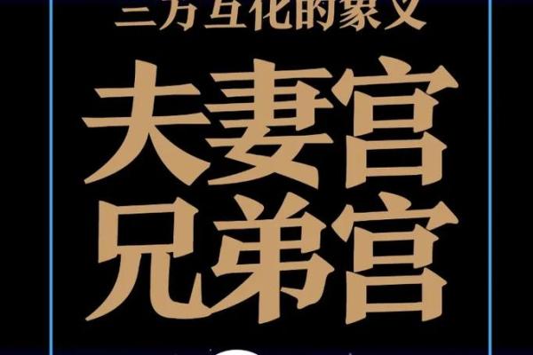 紫薇斗数嫁贵夫