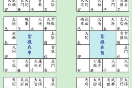 紫薇与斗数