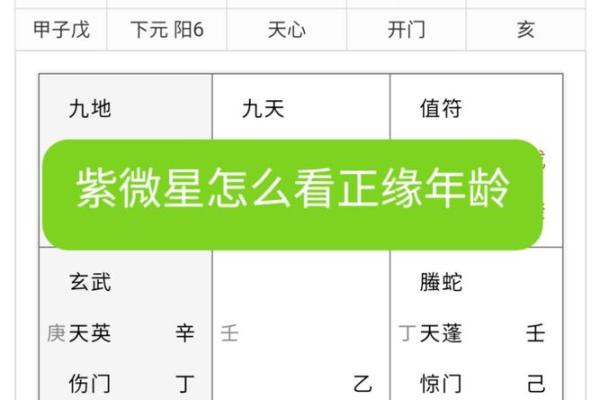 紫微斗数飞星看姻缘 紫微斗数飞星什么意思？