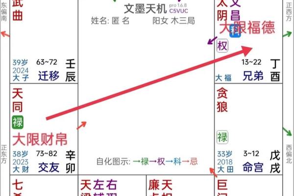 紫微斗数飞星看姻缘 紫微斗数飞星什么意思？