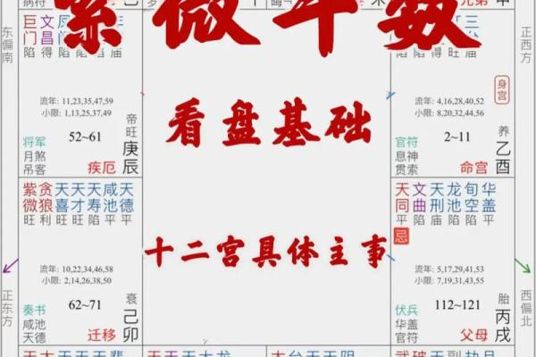 紫薇斗数怎么手动排盘
