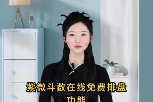 紫薇斗数怎么手动排盘