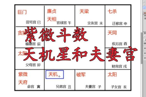 紫薇斗数大运夫妻宫入财帛宫是配偶有钱么