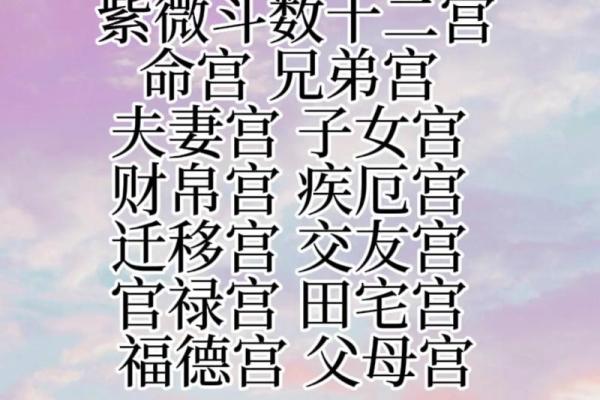 2紫薇斗数命宫