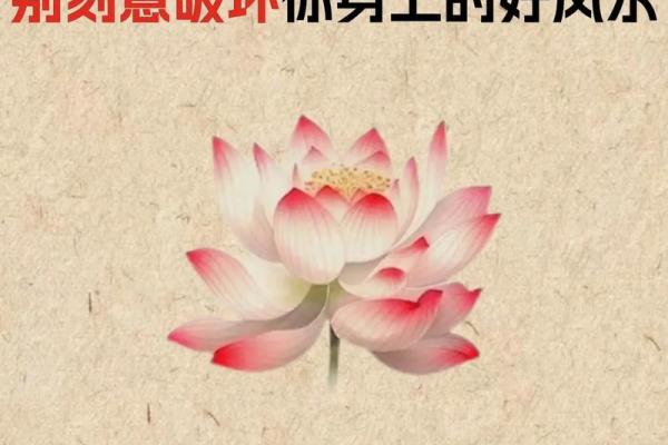 助事业顺利的四大风水，超有用