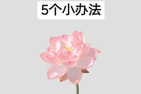 助事业顺利的四大风水，超有用