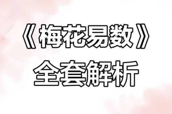 梅花易数算命入门书籍
