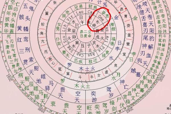 紫薇斗数是啥