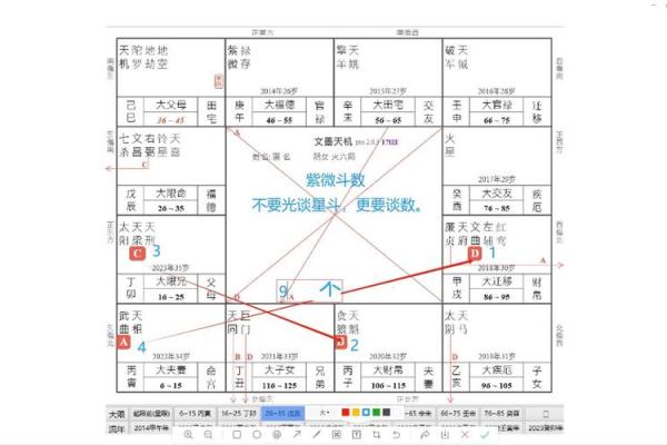 紫薇斗数是啥