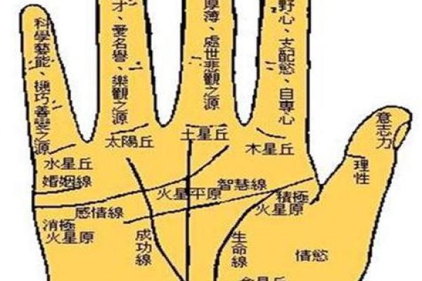 女生算命看左手吗