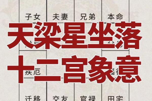紫微斗数诸星落诸宫之:天梁星田宅宫详解 紫微斗数诸星落诸宫之:天梁星田宅宫详解