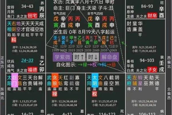 免费测紫薇斗数app