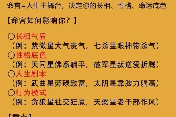 紫薇斗数龙池入命