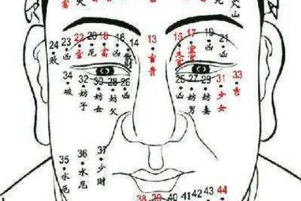头发算命,头发向前倒的人的面相分析