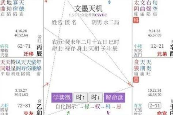 紫薇斗数领袖格局