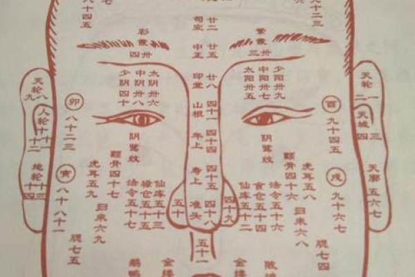 三角眉毛的面相算命图解