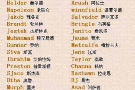 免费测试你的英文名