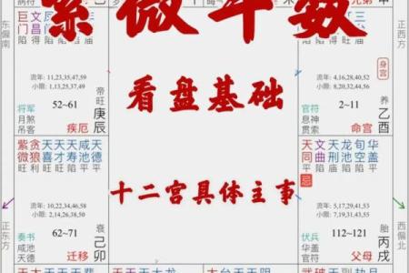 紫薇斗数怎么手动排盘