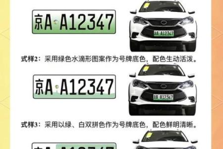 新能源车牌吉凶测试