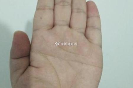 【手型算命】最基本的手型之哲学手