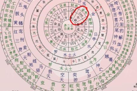 紫薇斗数是啥