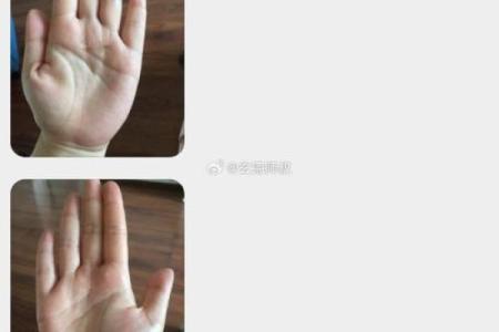 女生算命看左手吗
