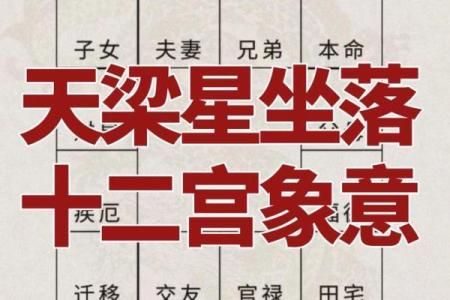 紫微斗数诸星落诸宫之：天梁星田宅宫详解