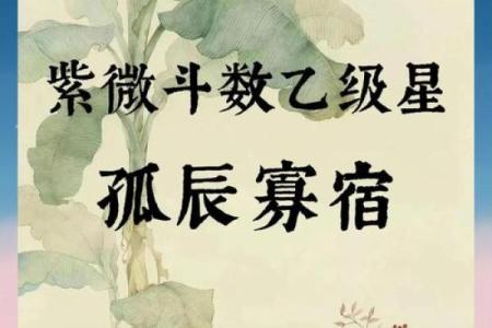 孤辰 寡宿坐命会活成寡人吗？【紫微斗数】【心婷解惑】