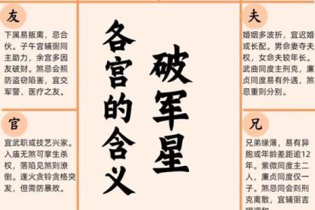 紫微斗数凶恶格局总结 紫微斗数里的狠角色？