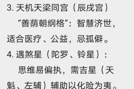 紫微斗数诸星落命宫之：天机星详解