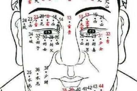 头发算命,头发向前倒的人的面相分析