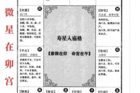 紫薇斗数领袖格局