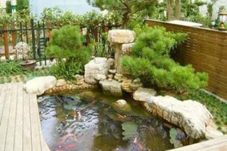 房子门口可以有鱼池吗风水