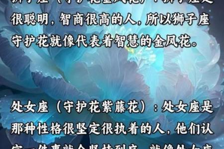 十二星座代表的守护花都有哪些呢
