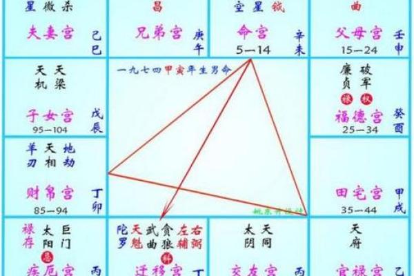 紫薇斗数阳宫