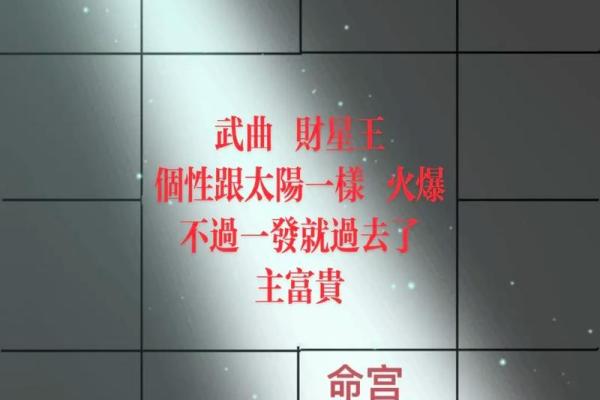 东有小山紫微斗数第8课：北斗星系②（太阳、武曲、天同、廉贞）