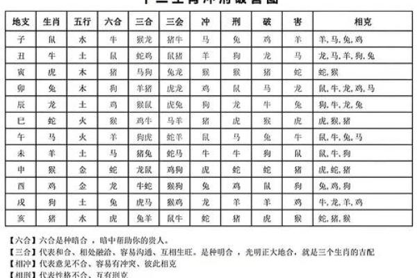 生肖算命婚姻，十二生肖什么属相和龙最配