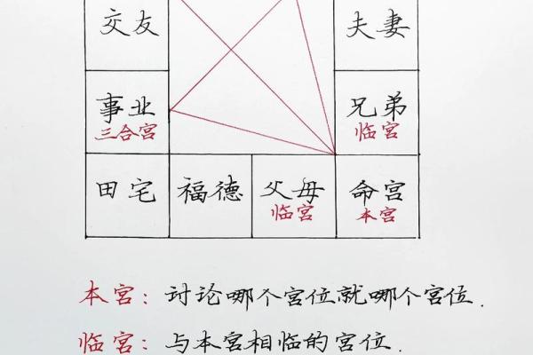 紫薇斗数术语逢