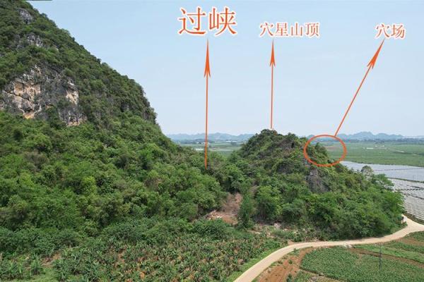 风水先生_摇鞭赶山法