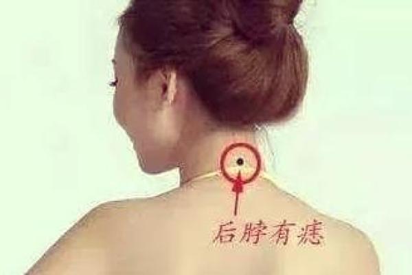 女人背部痣相图解算命