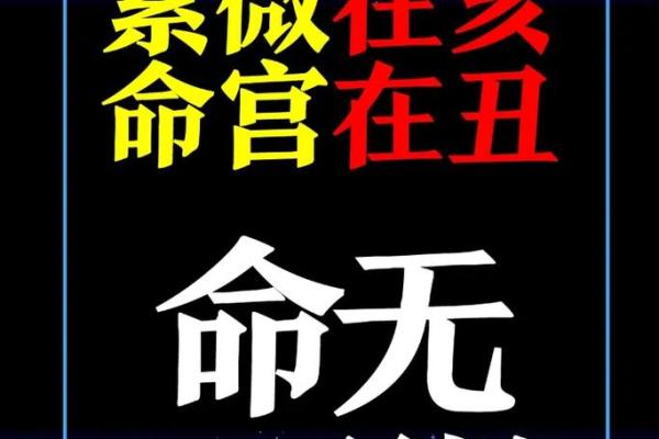 紫薇斗数看减肥