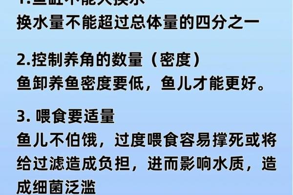 家里养鱼也有风水讲究这么一说
