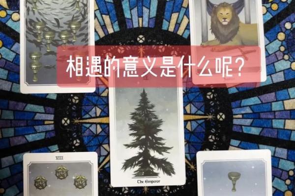 塔罗测试你和前任谁过得好 分手后谁过得更好