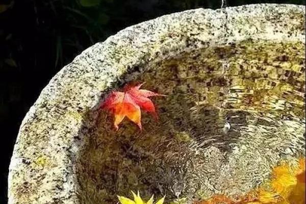 粮食瓮风水