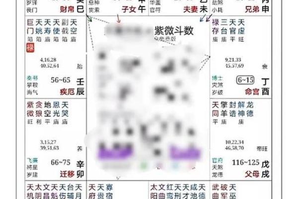 紫薇斗数几号盘