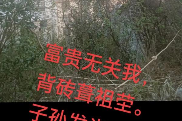 祖坟的风水_是一个家庭更好的风水你认同这句话吗