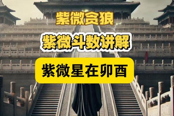 紫薇斗数贪狼火星