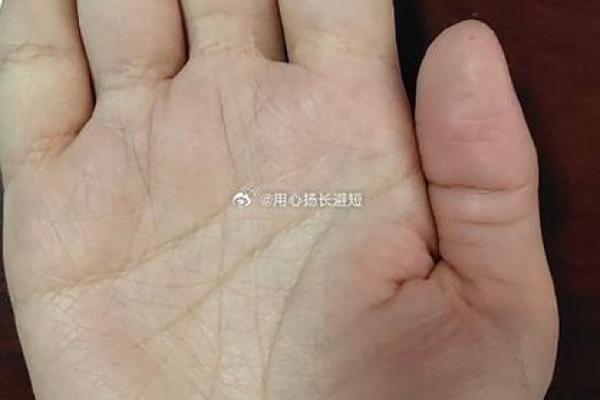 女人的事业线止于感情线命运如何风水