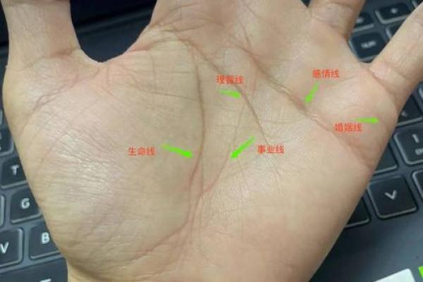风水手相怎么看生命线断开是什么意思